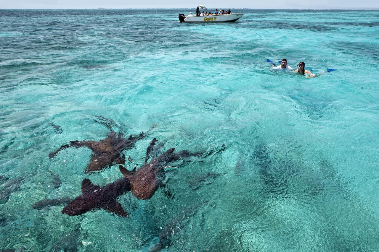 Cayo Espanto San Pedro  Exteriör bild