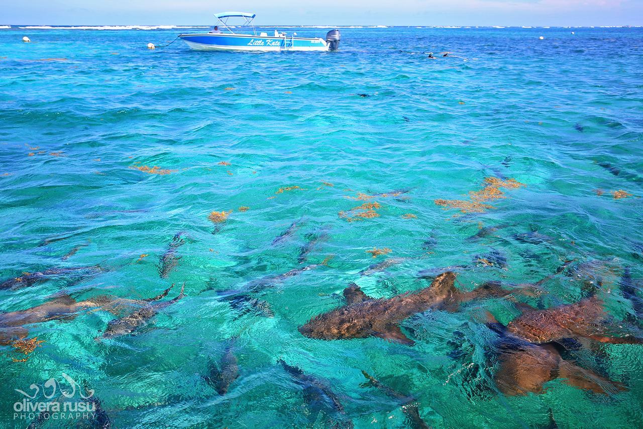 Cayo Espanto San Pedro  Exteriör bild